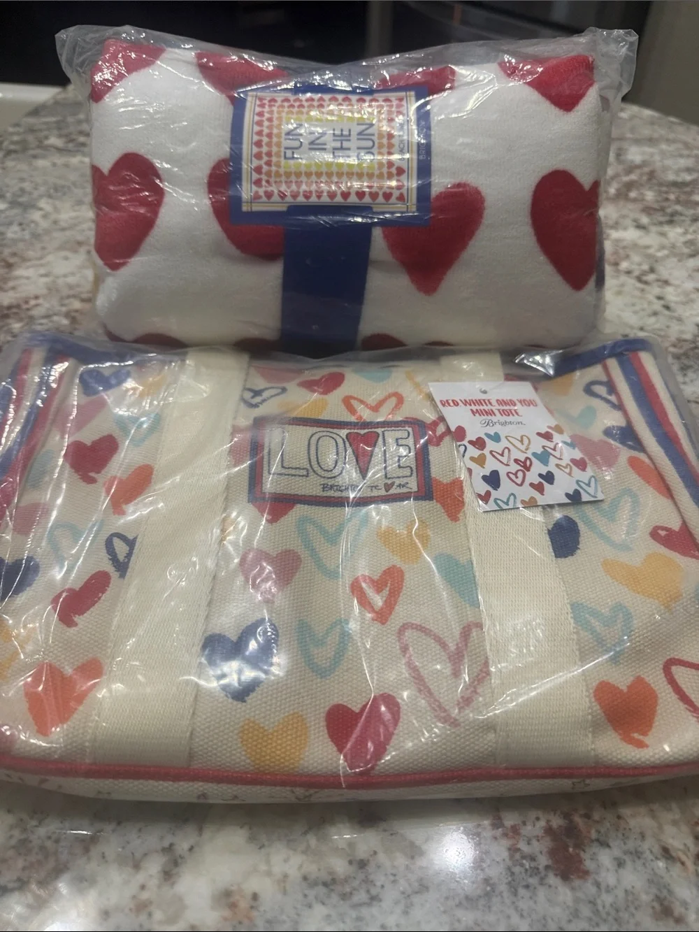 Brighton Beach 🏖️ Towel And Tote NWT
